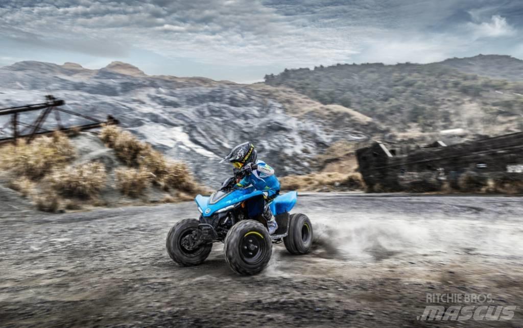 CFMoto CFORCE 110 ATV/Quad