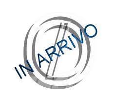 CAT 745 Dumper - Knickgelenk