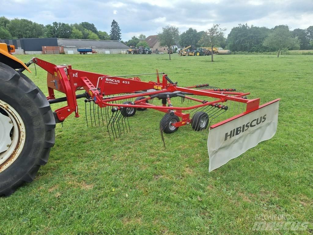 Lely Hibiscus 455 Schwader