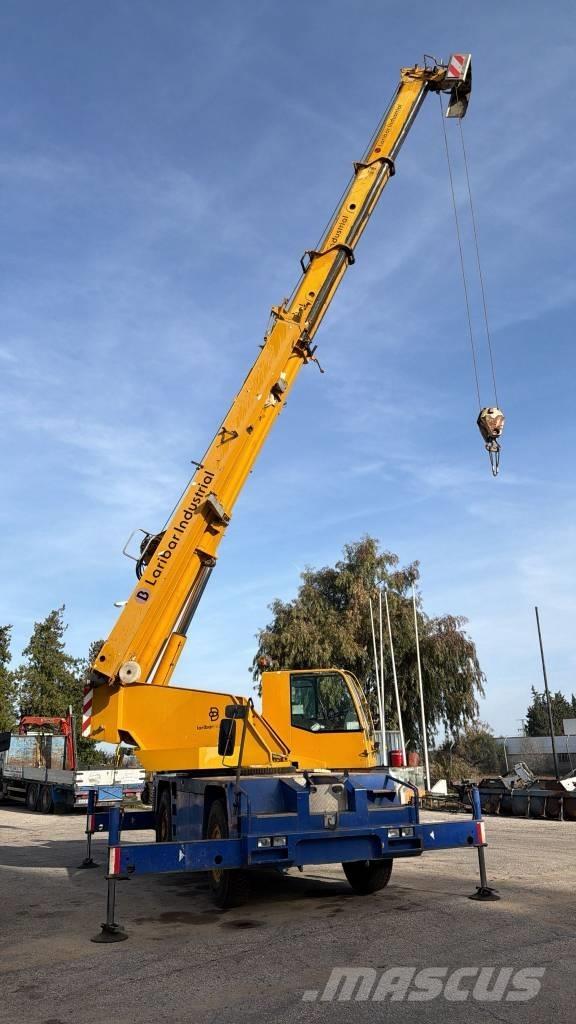 GRUA DEMAG 25T Ruwterrein kranen