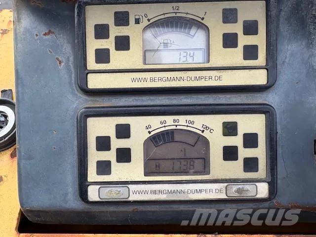 Bergmann 2050 Minidumper