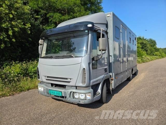 Iveco E 75 Tiertransporter