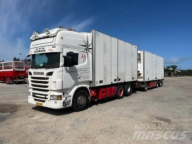 Scania R 730 Kühlkoffer