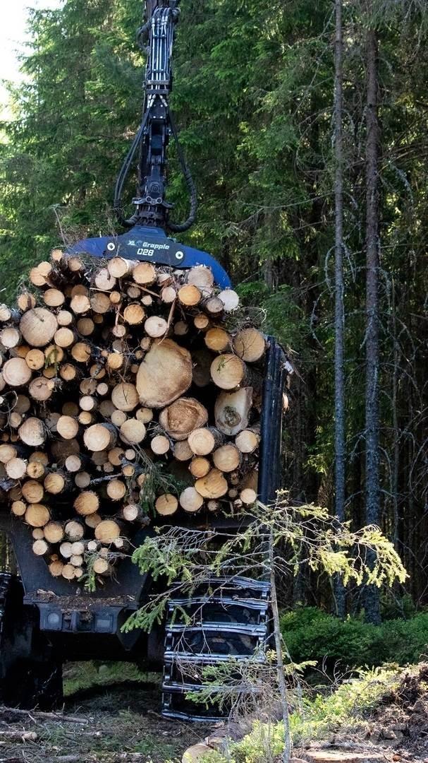  XL Grapple 028 STD Greifer