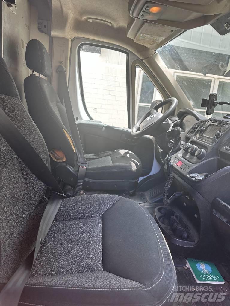 Dodge promaster Kofferaufbau