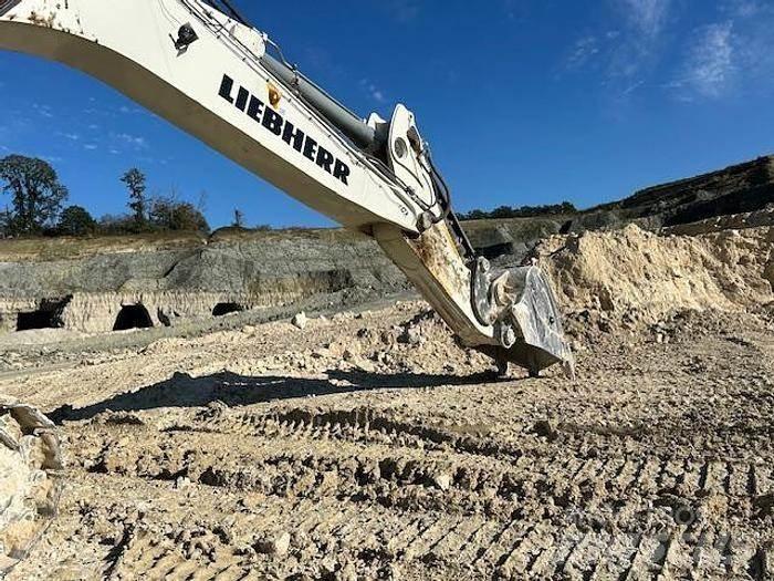 Liebherr R9100 Spezialbagger