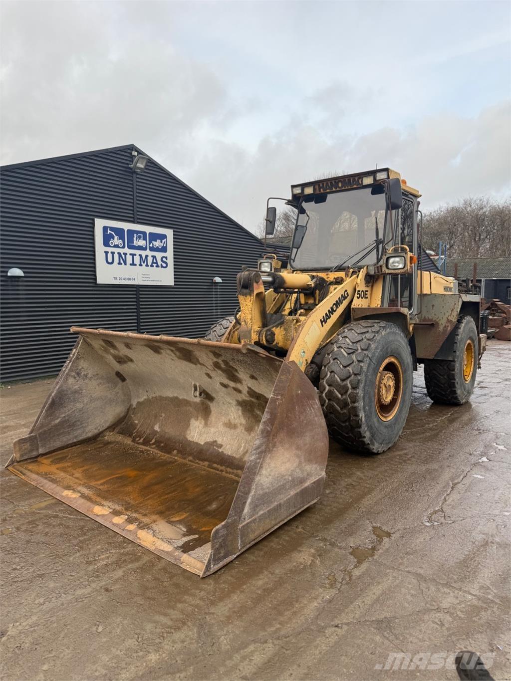 Hanomag 50E Radlader