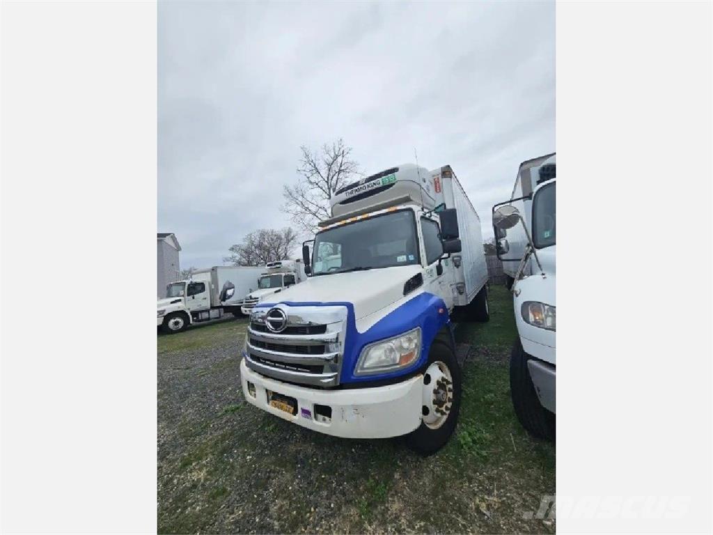 Hino 338 Kühlkoffer