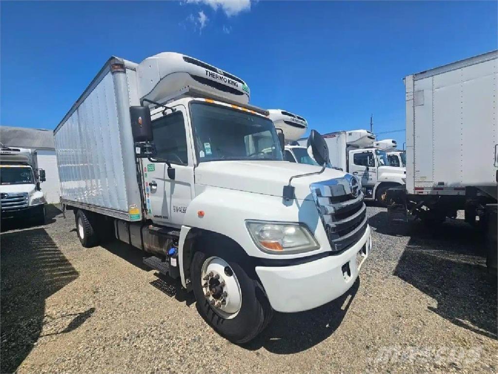 Hino 338 Kühlkoffer