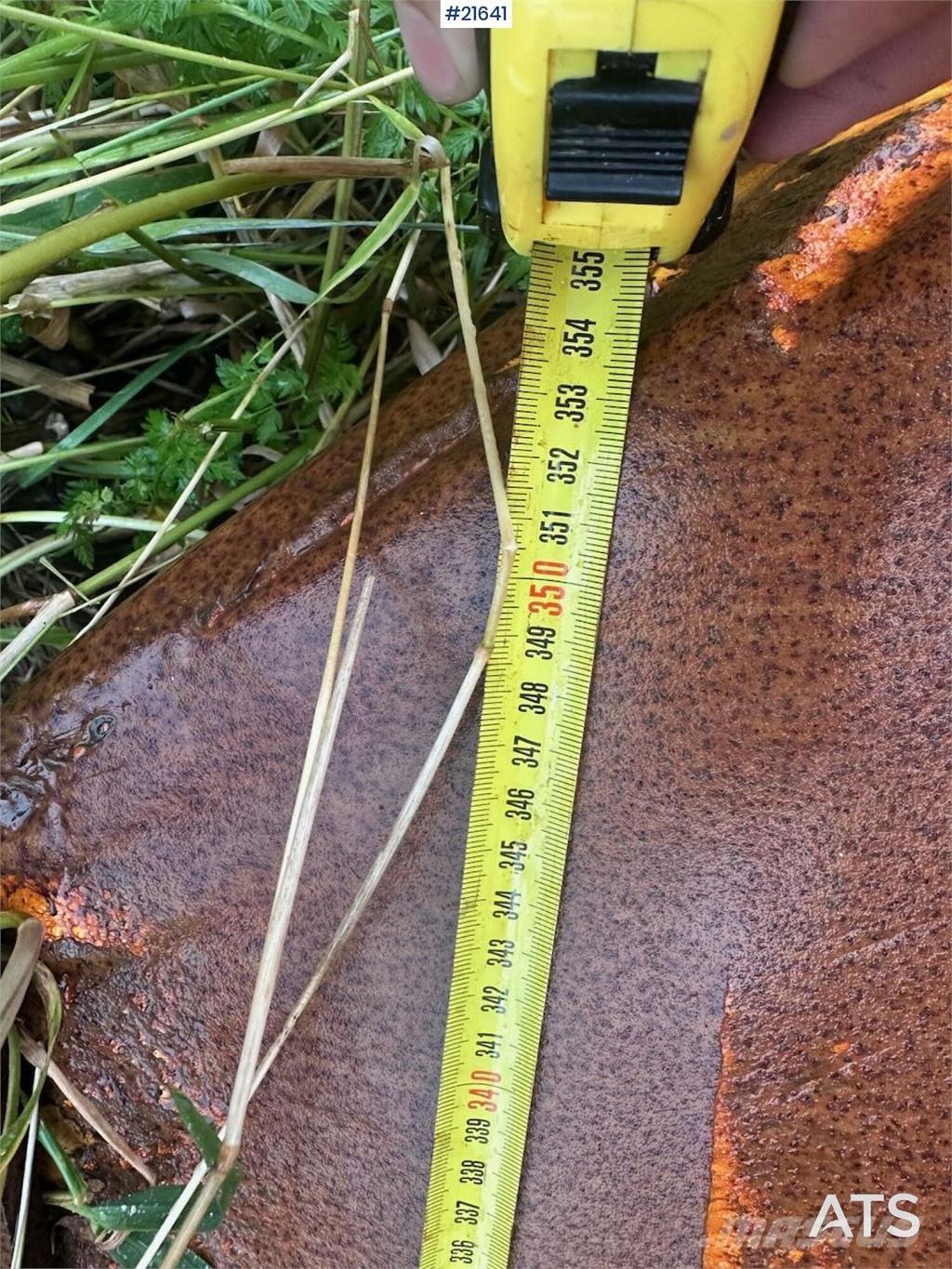  Gmill HDA 265 plow. Transport Sonstige