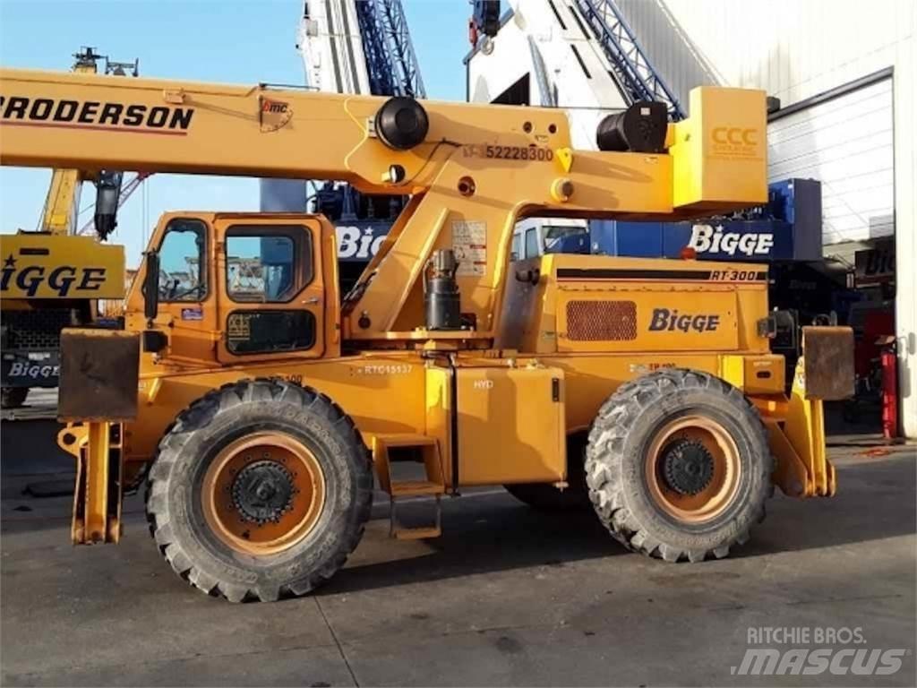 Broderson RT-300 Ruwterrein kranen