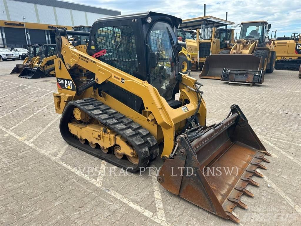 CAT 259D Laderaupen