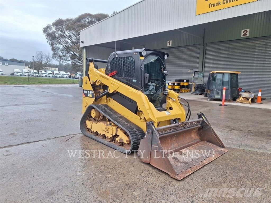 CAT 259D Laderaupen