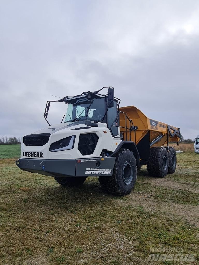 Liebherr TA 230 Dumper - Knickgelenk