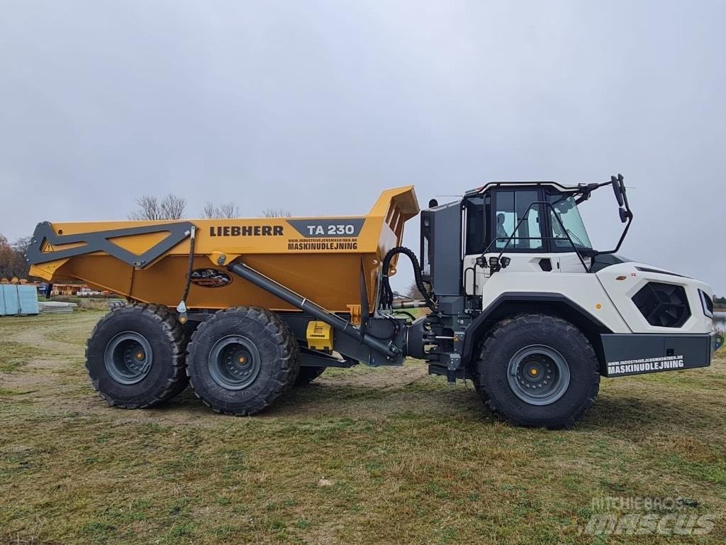 Liebherr TA 230 Dumper - Knickgelenk