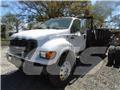 Ford F 650 Pritschenwagen/Pritschenwagen mit Seitenklappe