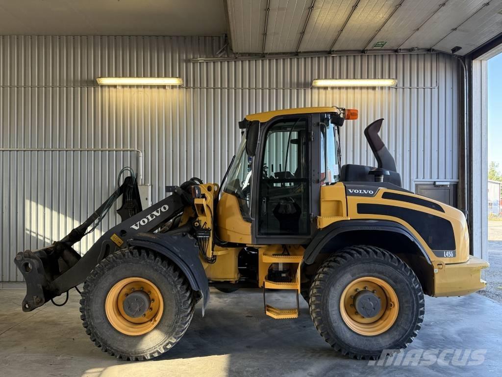 Volvo L 45 TP/S Raupenbagger