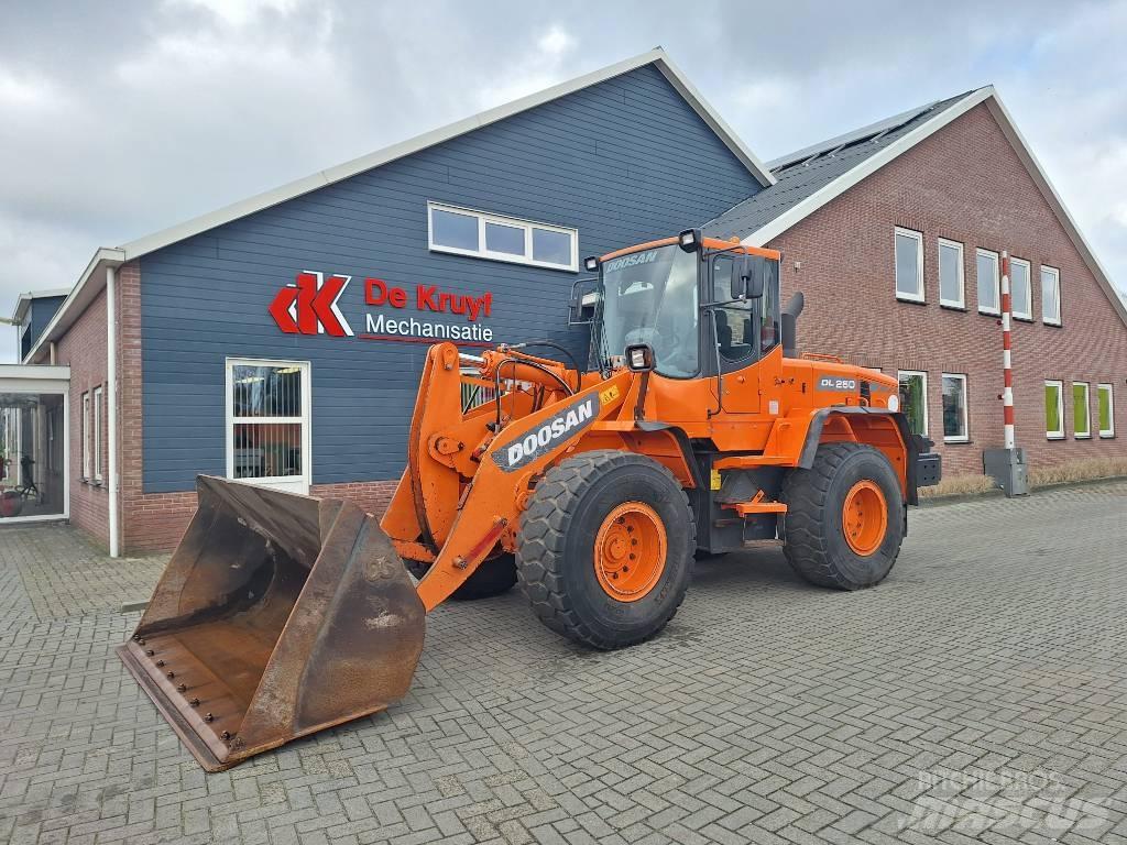 Doosan DL250 Radlader