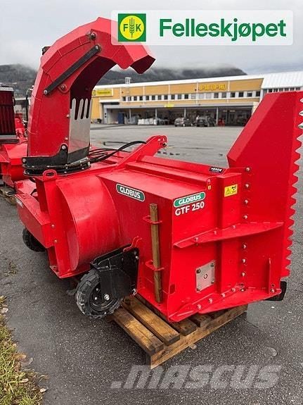 Globus GTF 250 Schneefräse
