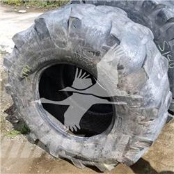 Titan 19.5L24 Reifen