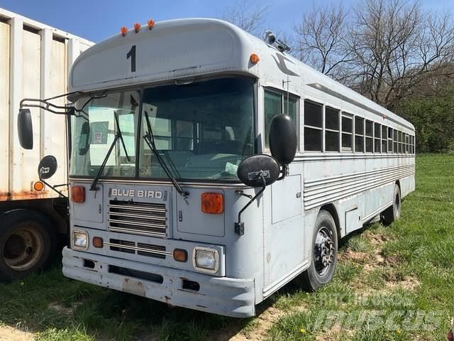 Blue Bird  Minibusse