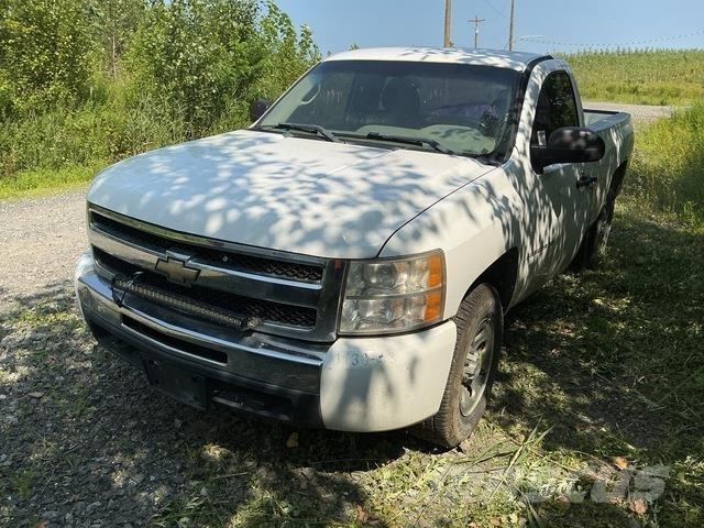Chevrolet 1500 Pickup/Pritschenwagen