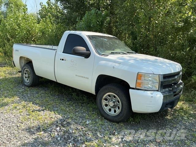 Chevrolet 1500 Pickup/Pritschenwagen
