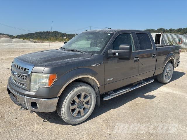 Ford F-150 Pickup/Pritschenwagen