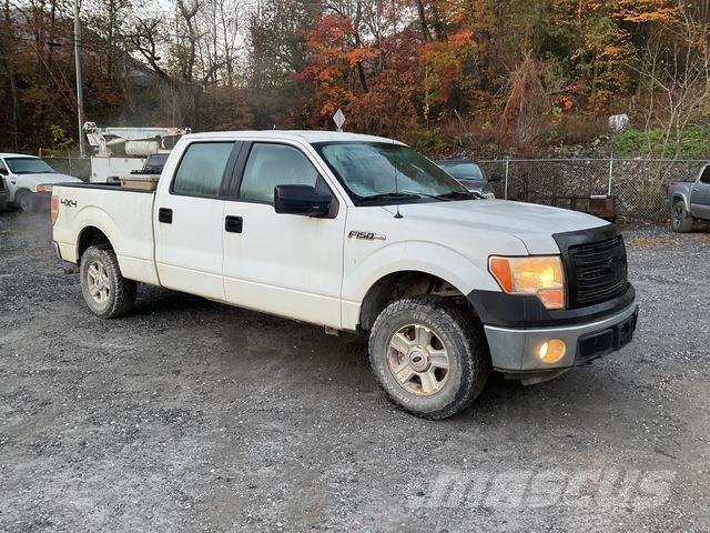 Ford F-150 Pickup/Pritschenwagen