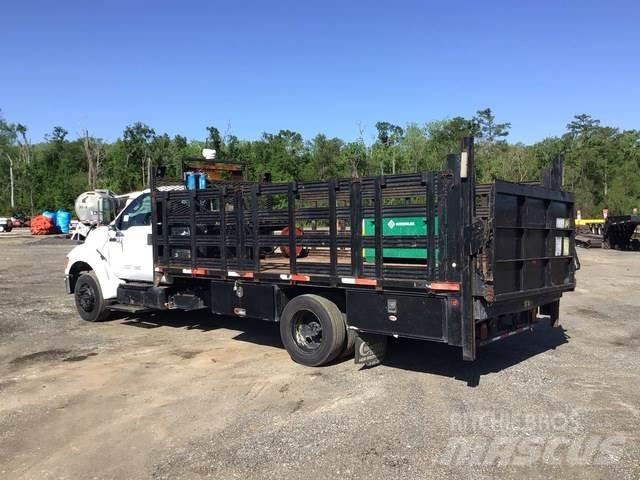 Ford F650 Pritschenwagen/Pritschenwagen mit Seitenklappe