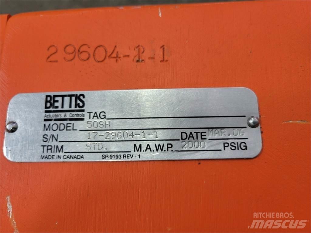  BETTIS 50SH Sonstige Baumaschinen