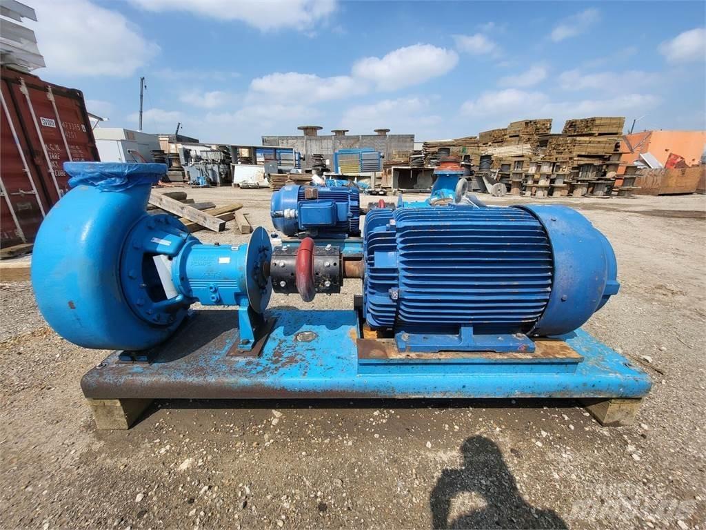  GOULDS 3196 Wasserpumpen