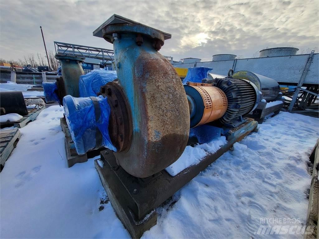  GOULDS 3196 Wasserpumpen