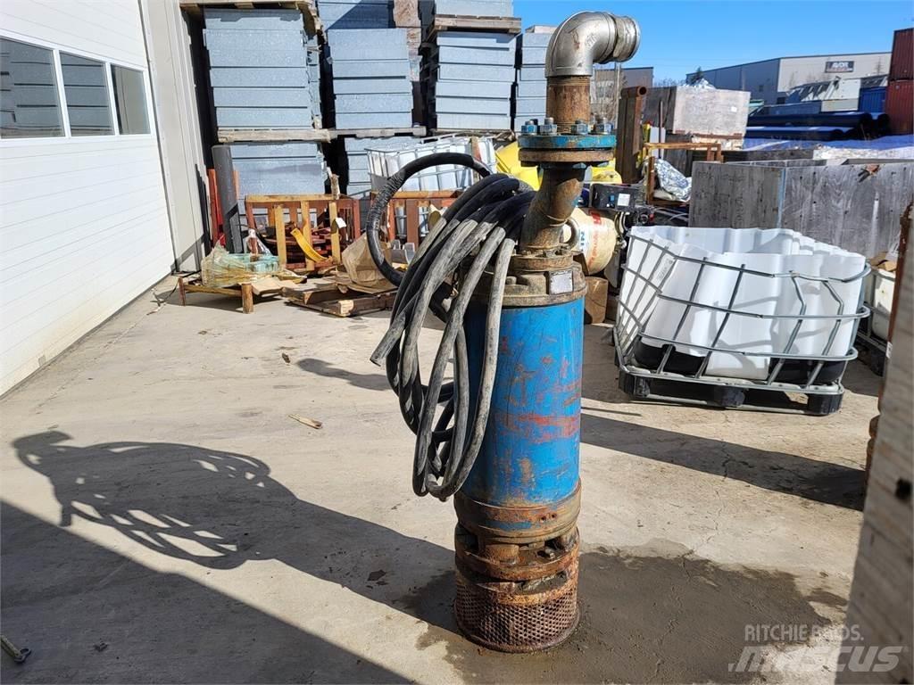 Tsurumi LH322W Wasserpumpen