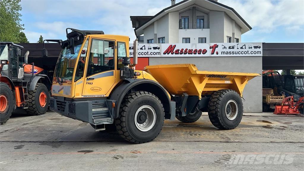 Bergmann 3012 DSK 4X4 Minidumper
