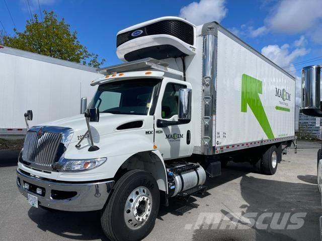 International MV Kühlkoffer