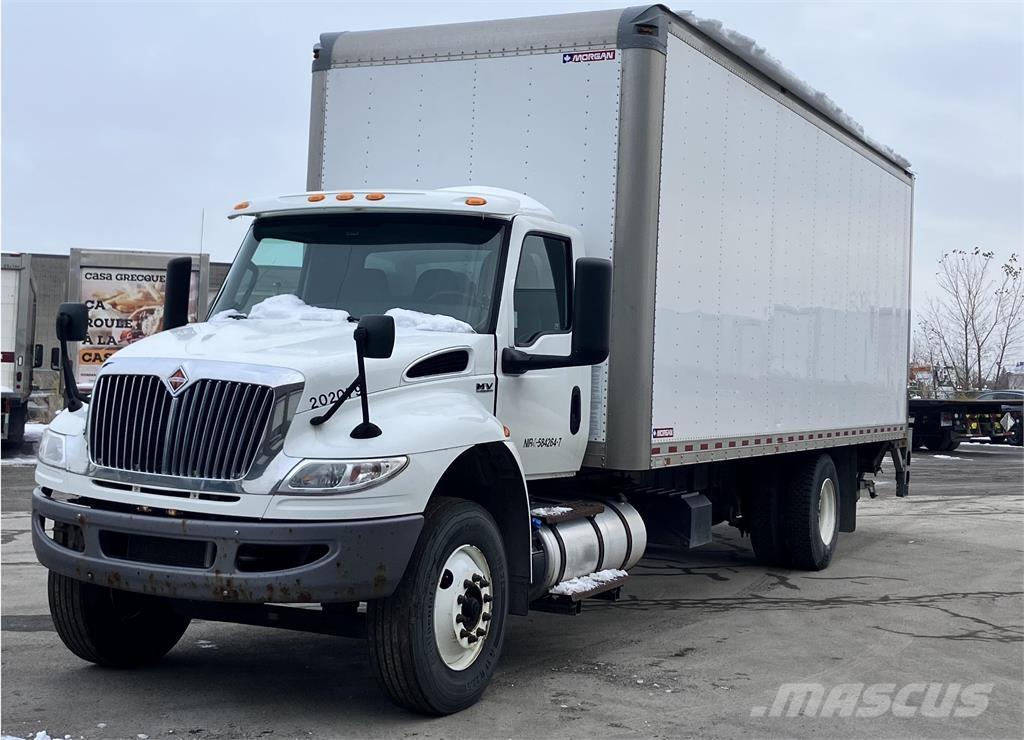 International MV Kofferaufbau