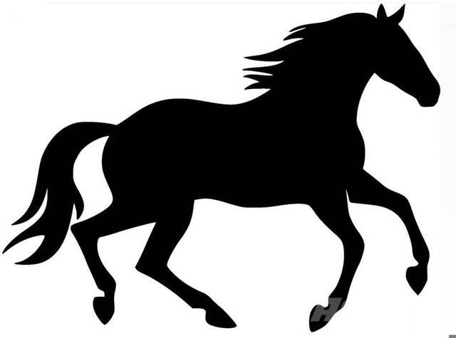  Dark Bay Stallion Sonstige Baumaschinen