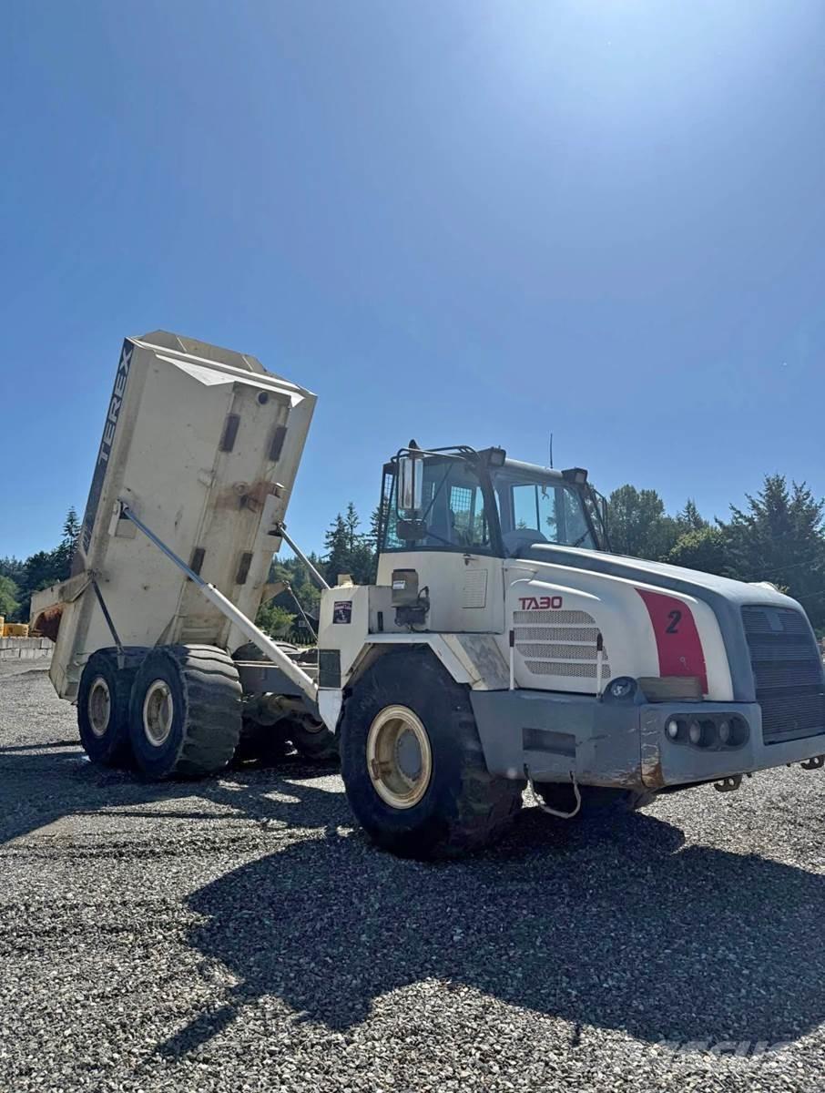Terex TA30 Lieferwagen