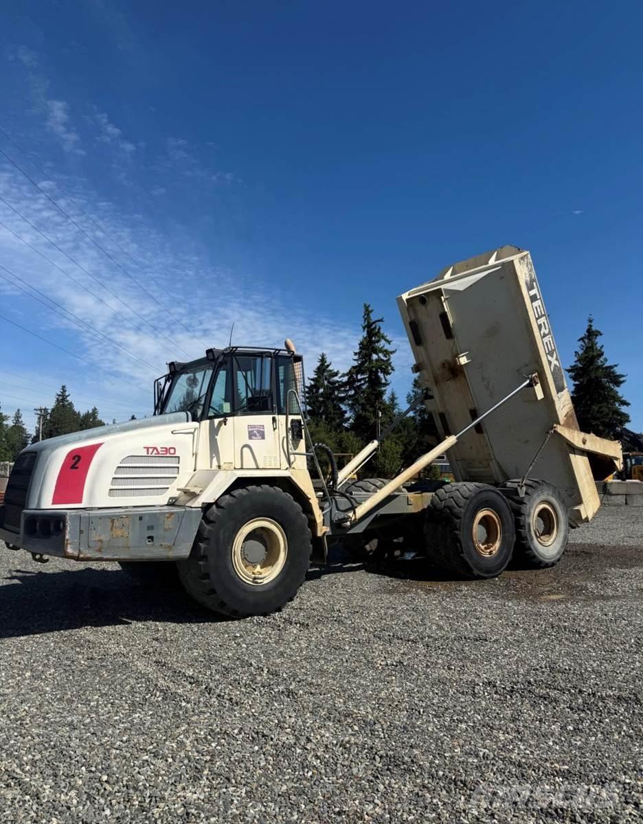 Terex TA30 Lieferwagen