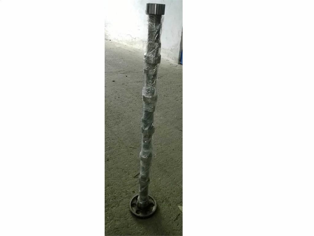 CAT 3116 Motoren