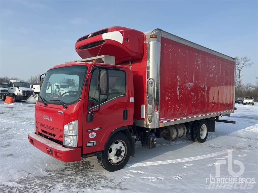 Isuzu NQR Kühltransporter