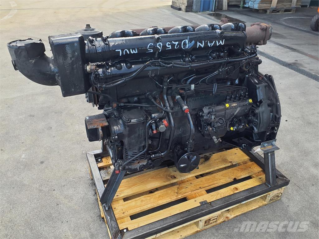 MAN D2565 MUL Motoren