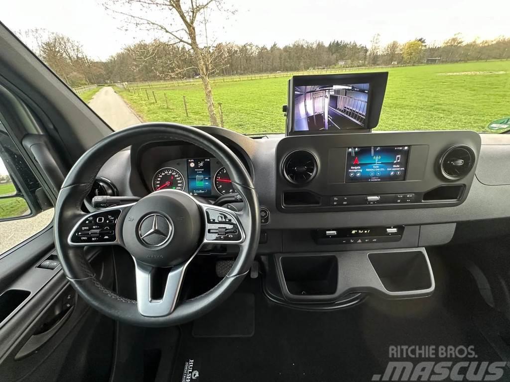Mercedes-Benz Sprinter AMG 2-paards paardenvrachtwagen B-rijbewi Tiertransporter